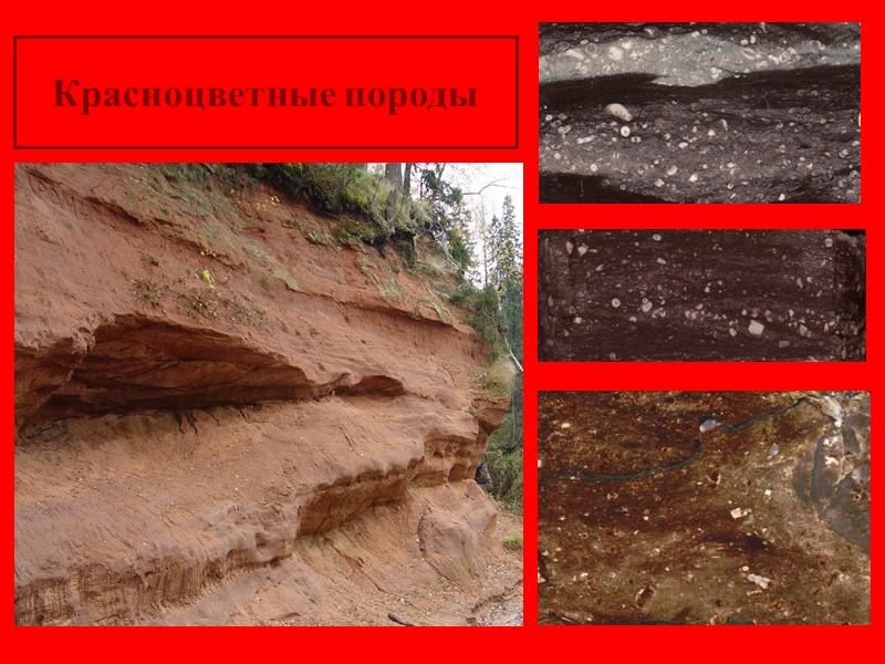 Красноцветные породы